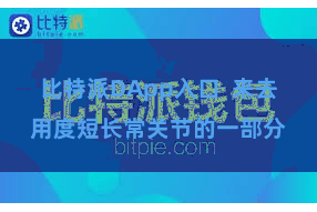 比特派DApp入口  来去用度短长常关节的一部分